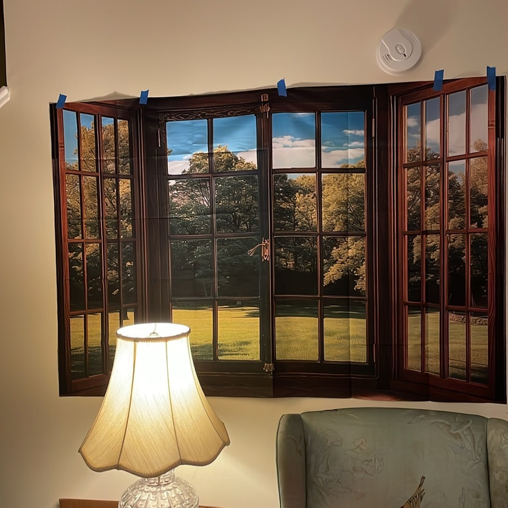 Bay Window Cloth Banner Not a window!! 60” X36”(5’X 3’) Looks real even …